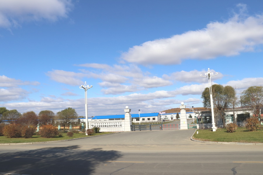 工廠(chǎng)搬遷至敦化市經(jīng)濟(jì)開(kāi)發(fā)區(qū)，占地面積為9萬(wàn)平方米